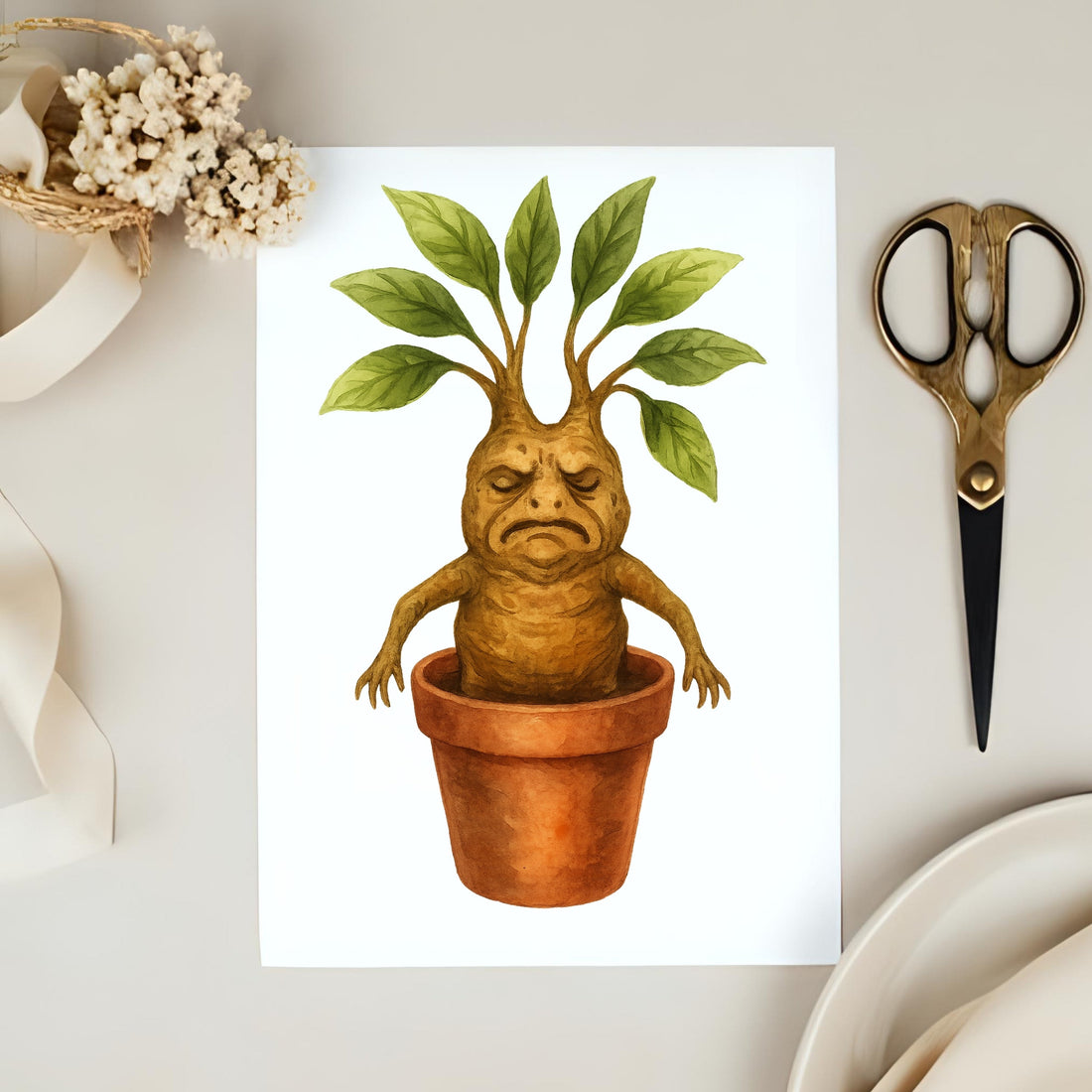 Free Mandrake clipart